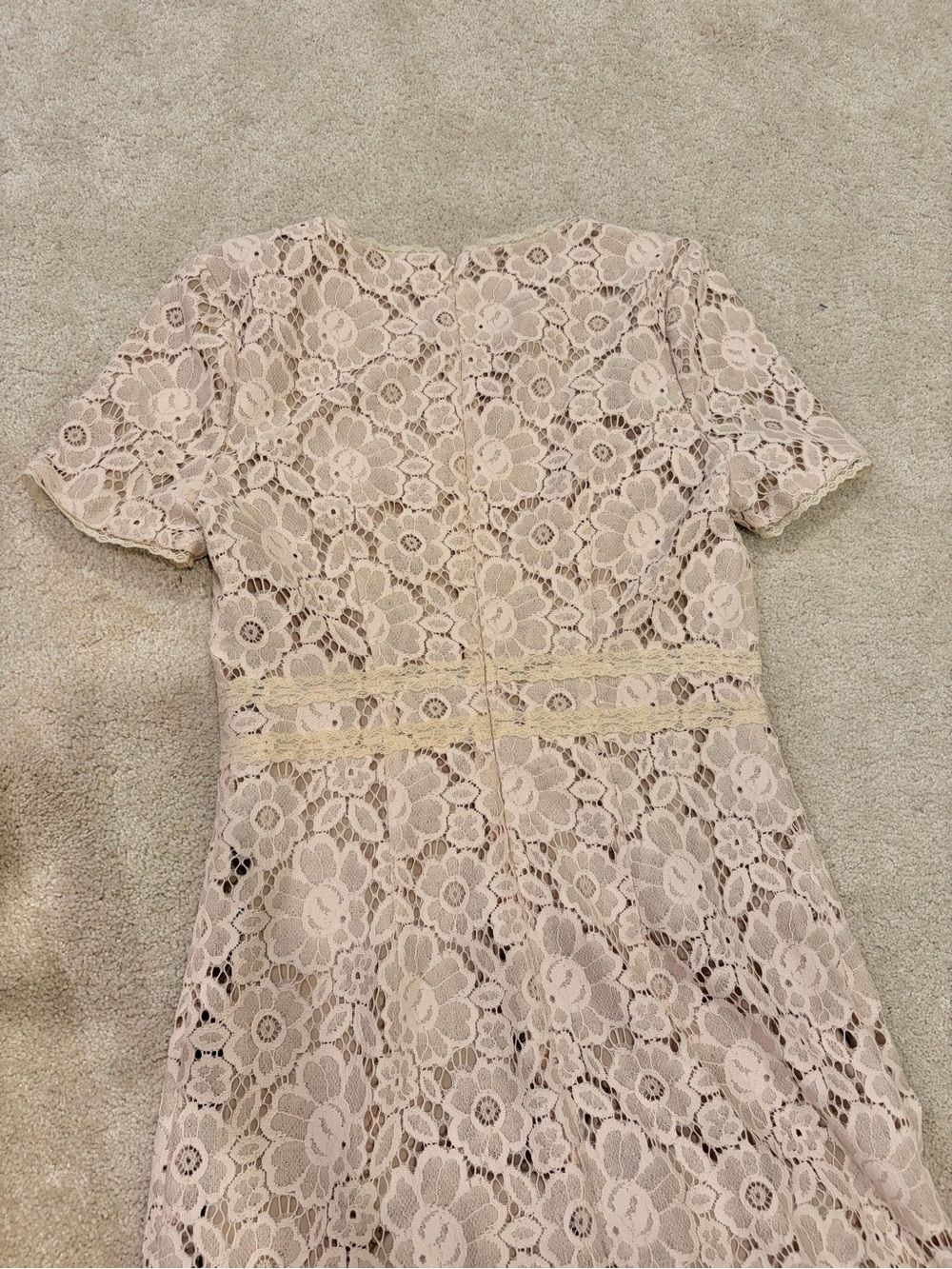 Rachel Parcell Blush Lace Midi Dress - Picture 5 of 5